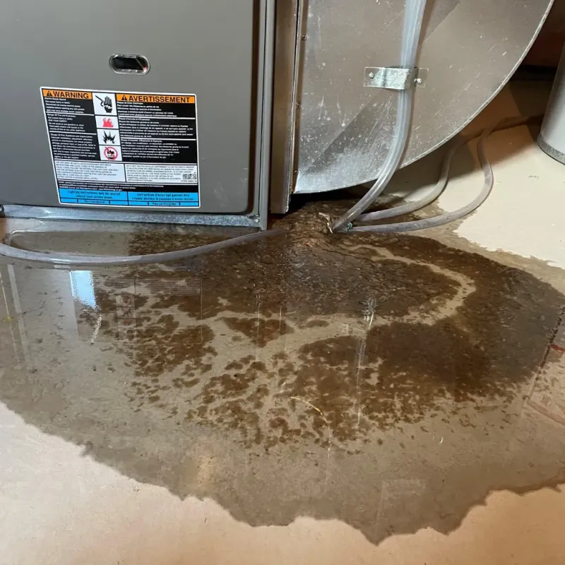 Appliance Leak Cleanup in Silver Lake, NC